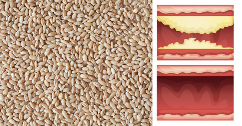 Barley Health Benefits: 9 Ways to Wow