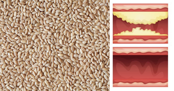 Barley Health Benefits: 9 Ways to Wow