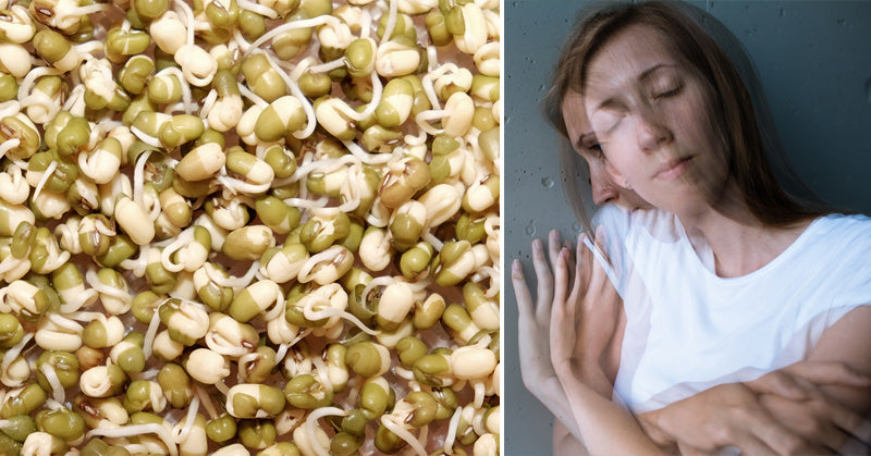 Bean Sprouts: 5 Health Benefits