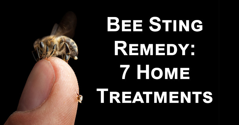 bee sting FI