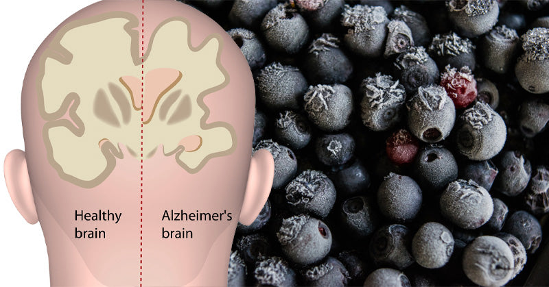 Bilberry: 7 Health Benefits