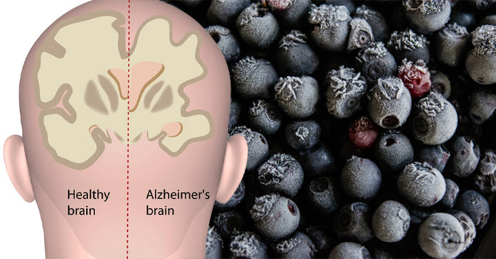 Bilberry: 7 Health Benefits