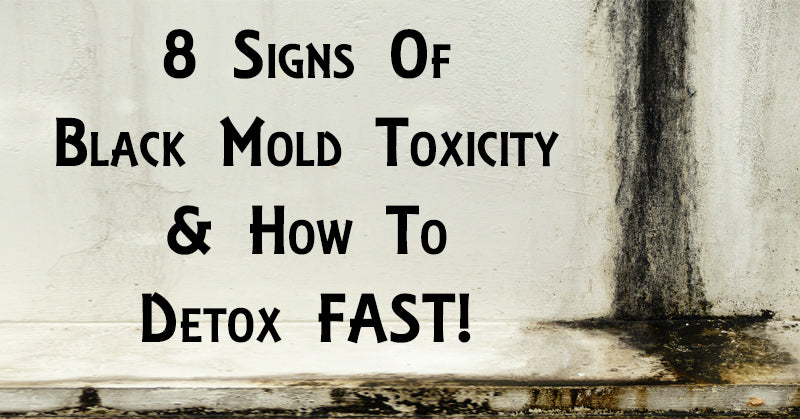 black mold toxicity FI