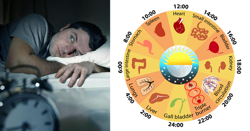 body clock FI02