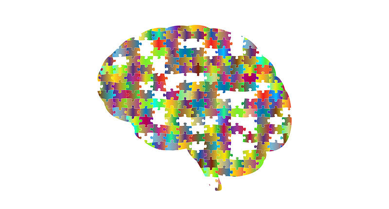 brain health FI