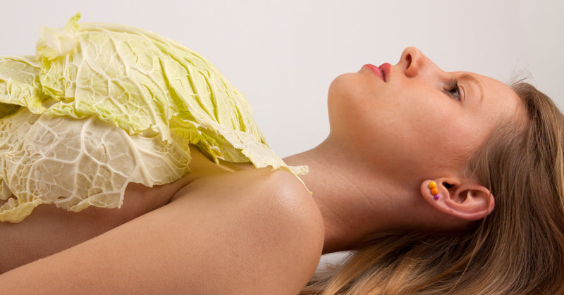 cabbage breasts FI