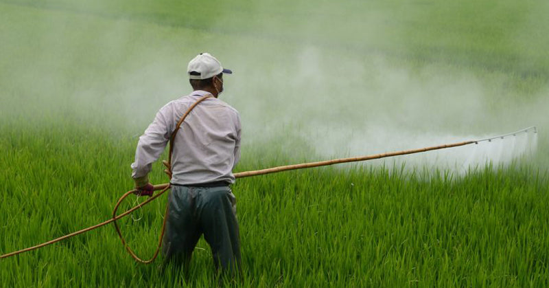 california weed killer FI