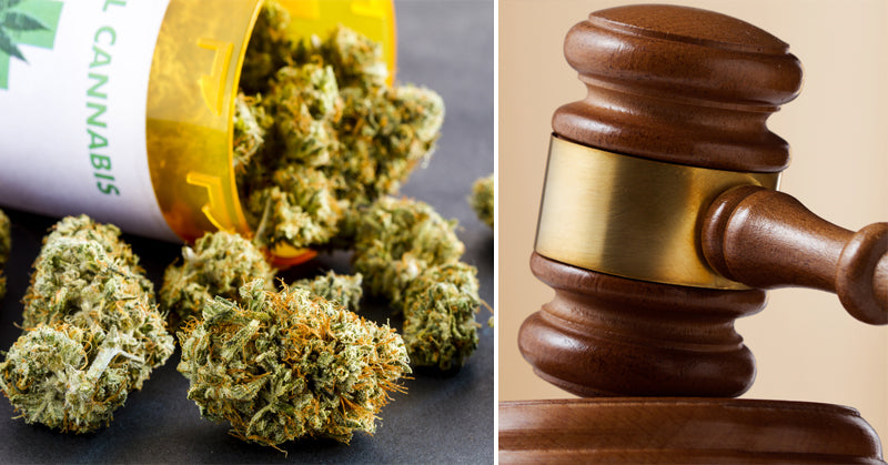 cannabis dui FI