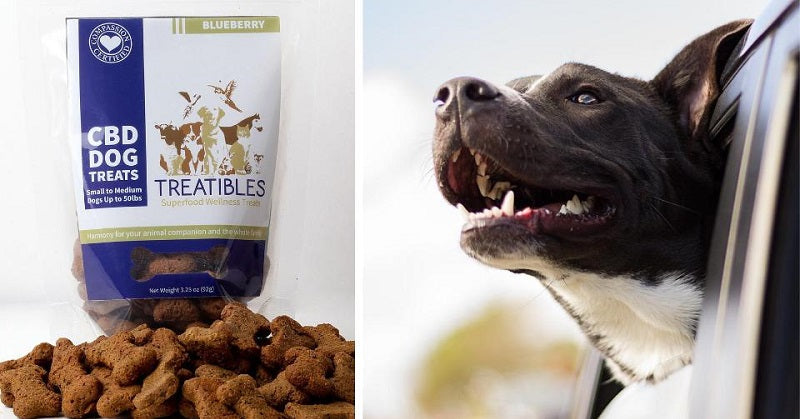 cannabis for canines