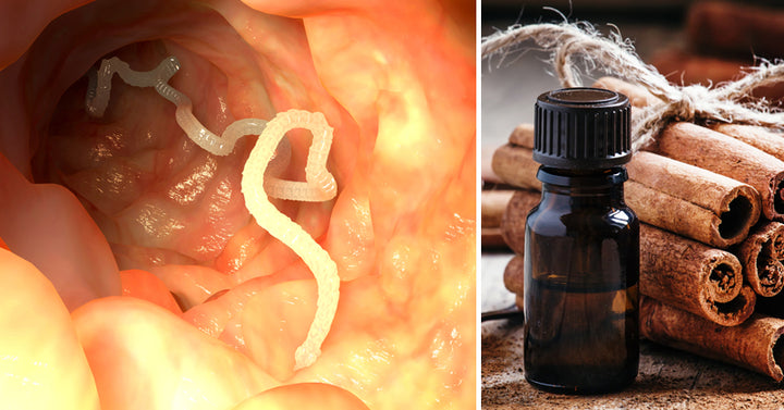 cinnamon oil FI