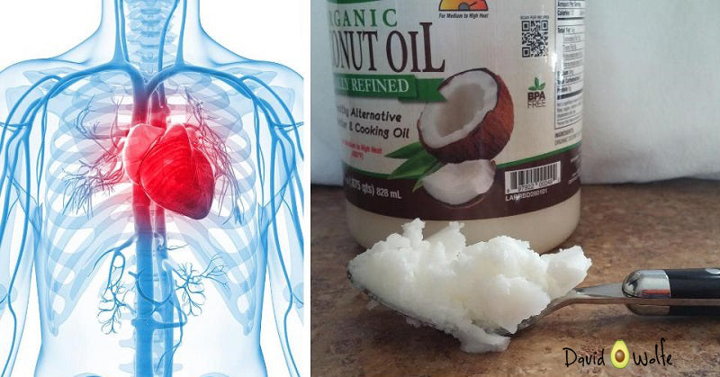 coconut oil daily FI