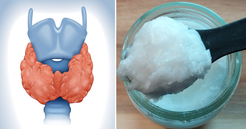 coconut oil thyroid FI