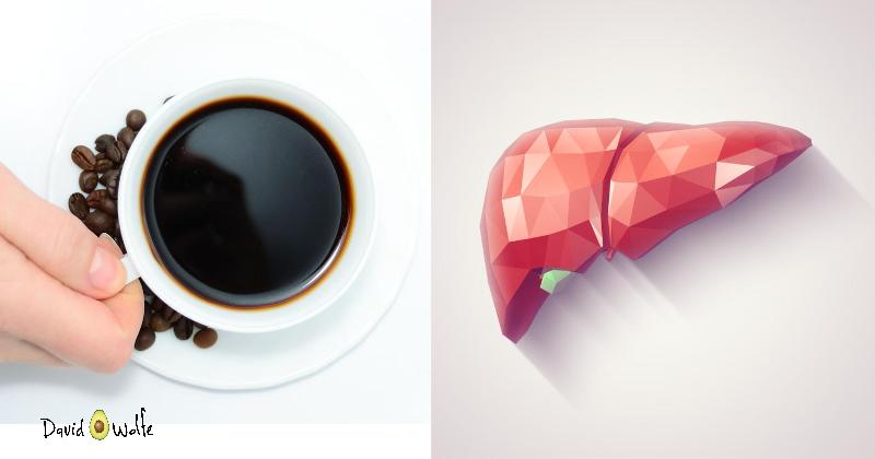 coffee liver FI