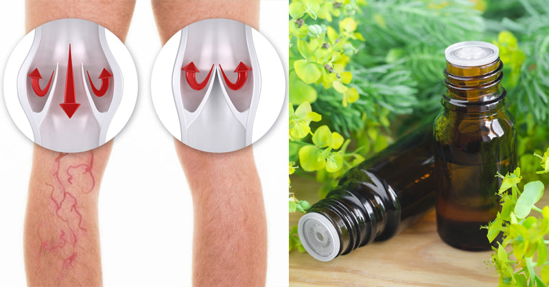 cypress essential oil FI