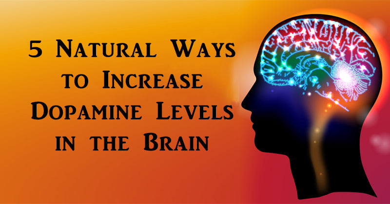 dopamine brain FI