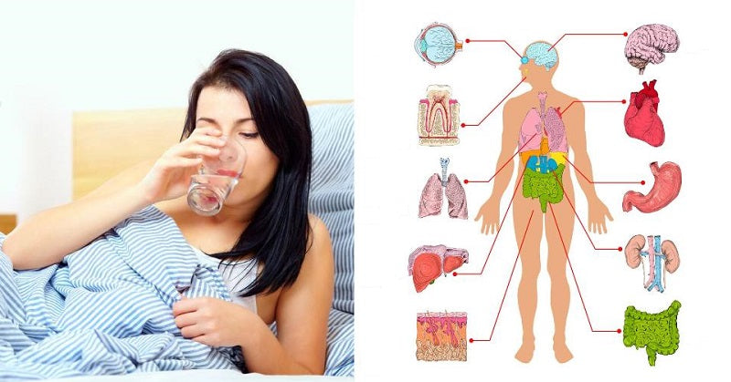 drink water