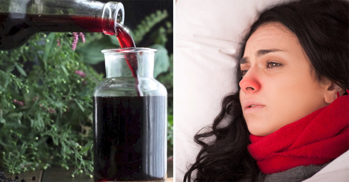 elderberry FI
