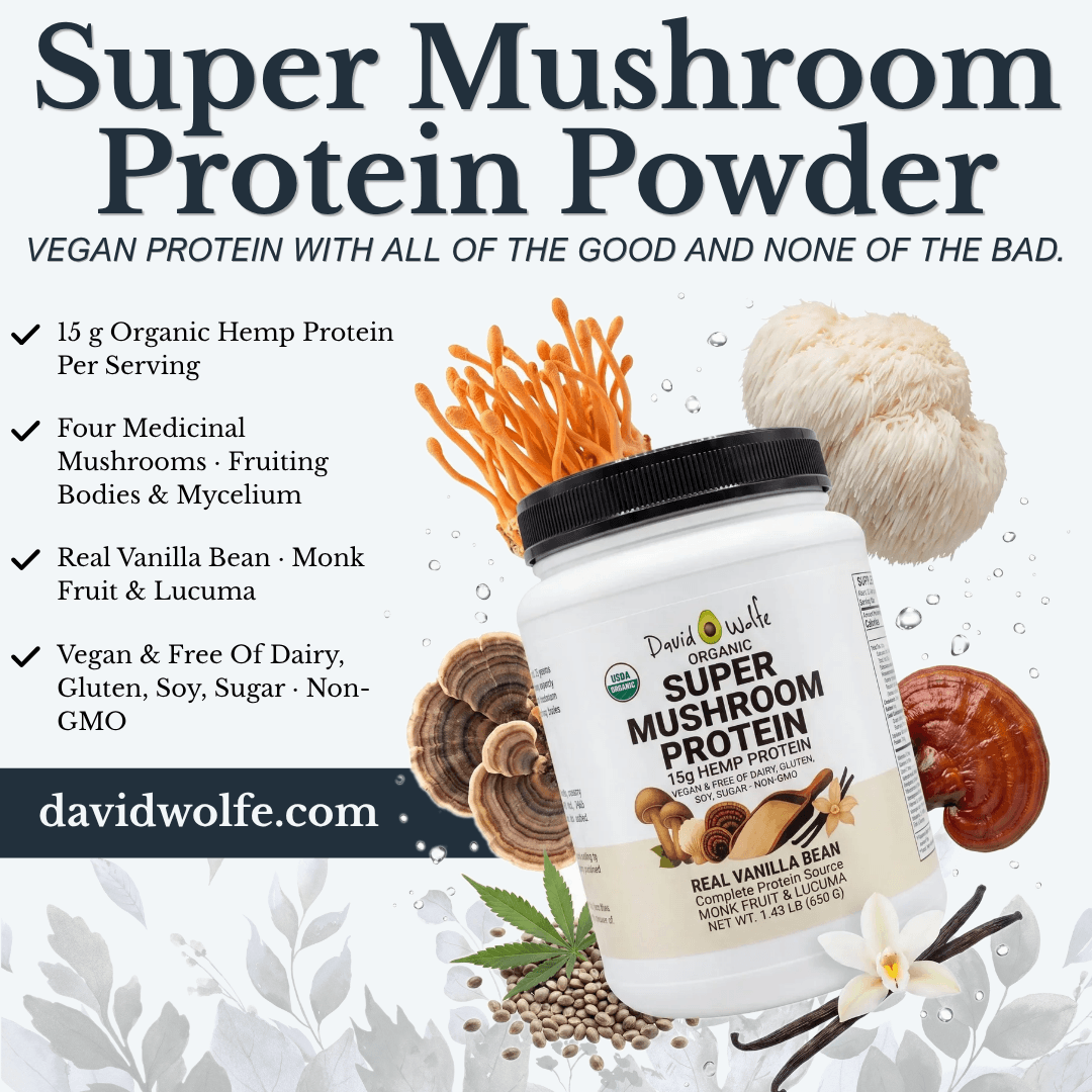 Why We Created Super Mushroom Protein with An Autumn Recipe! + Icelandic Adventures