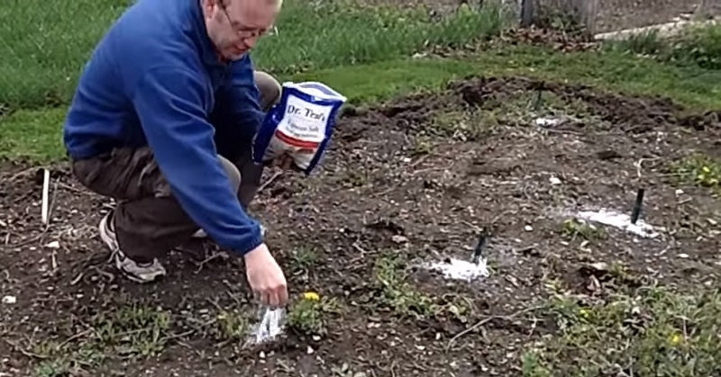 epsom salt garden FI