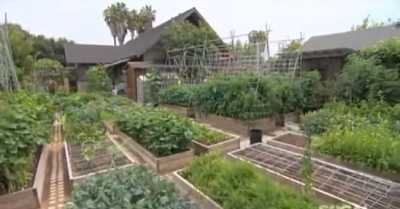 urban homestead farm FI