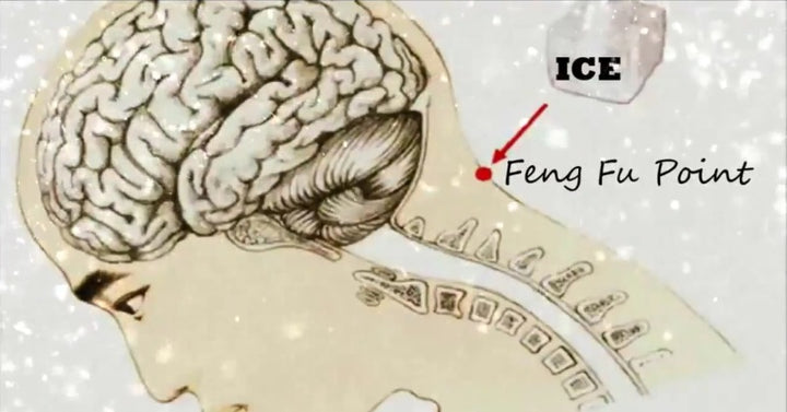 feng fu FI