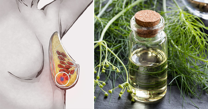 fennel essential oil FI