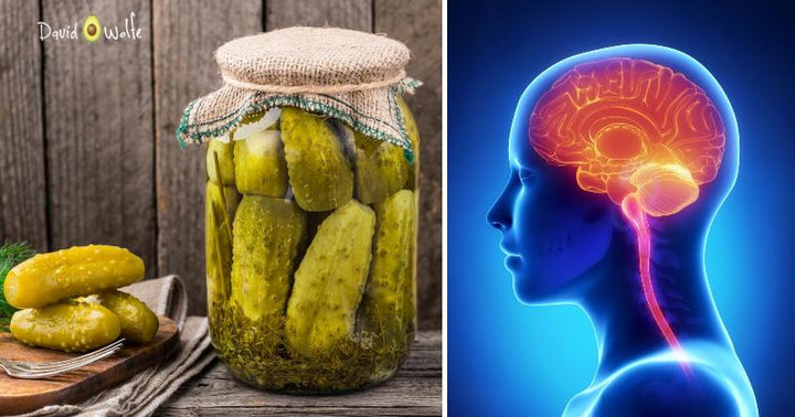 fermented food brain FI