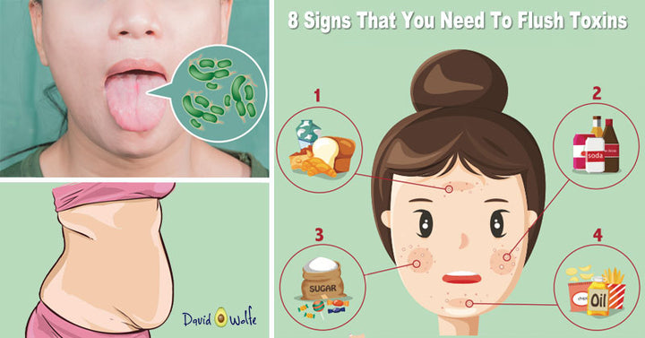 flush toxins