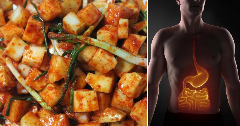 probiotic foods digestion FI