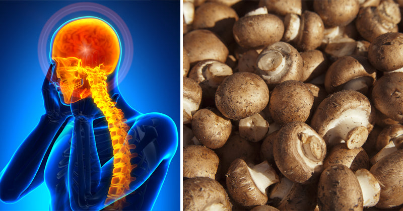 powerful foods migraines FI