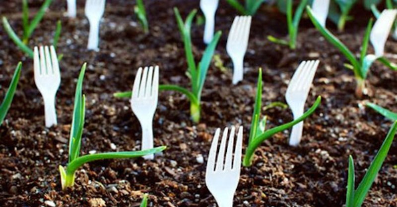 fork garden