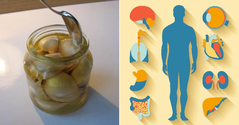garlic honey FI