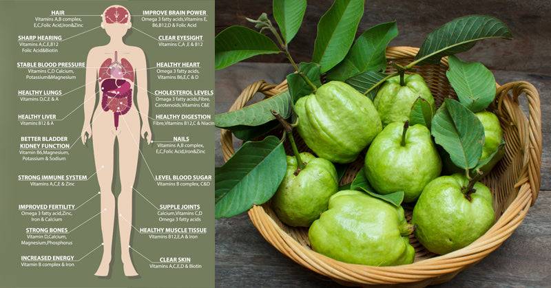 guava health FI