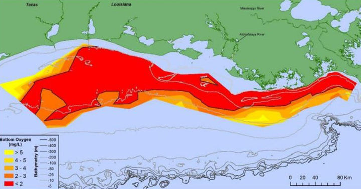 gulf dead zone FI