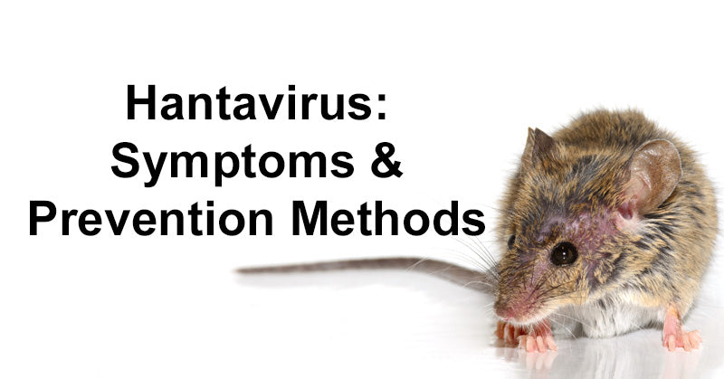 Hantavirus: Symptoms & Prevention Methods
