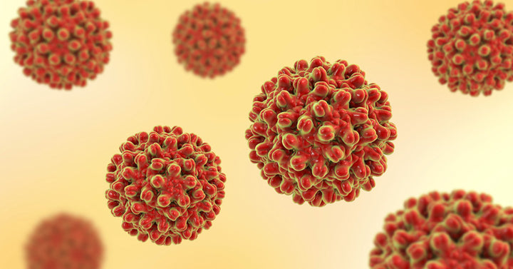 Hepatitis A: 6 Steps To Prevent & Treat