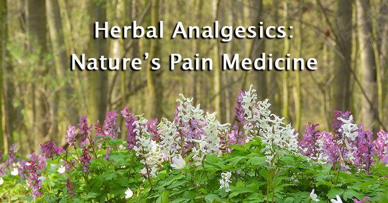 herbal analgesics pain relief FI