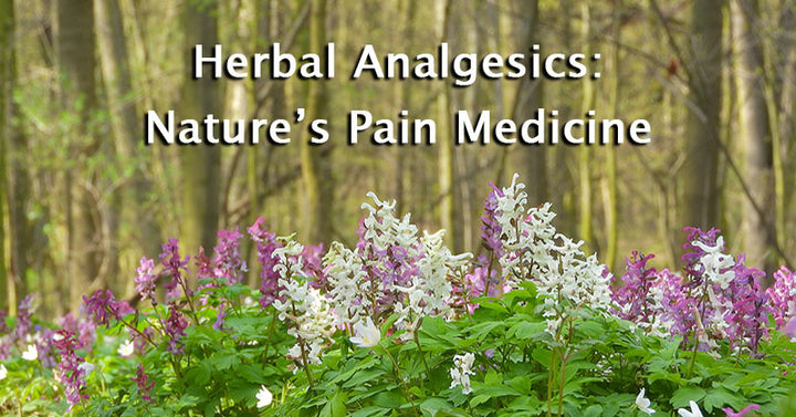 herbal analgesics pain relief FI
