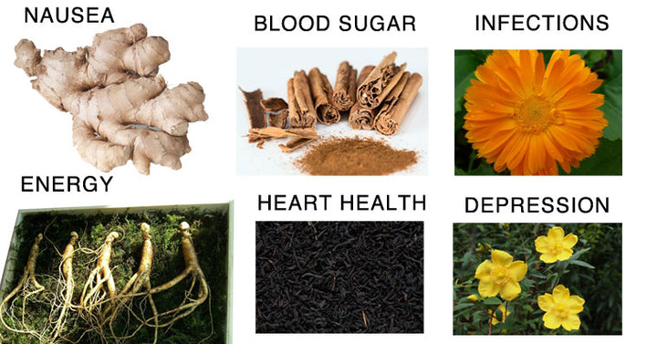 herbs-heal-body