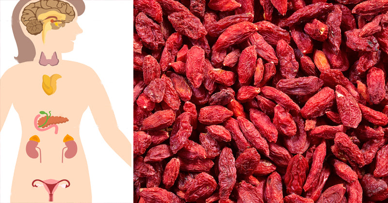 herbs hormones FI