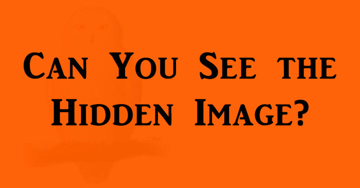 hidden image introverts FI