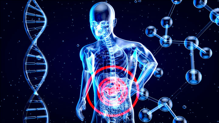 leaky gut