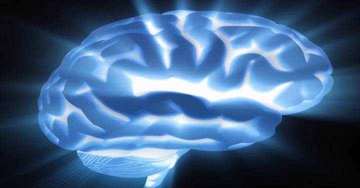 light brain