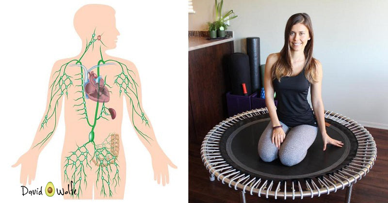 lymphatic system rebounding best exercise FI