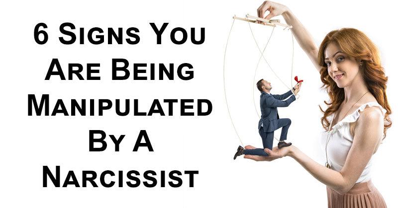manipulated narcissist FI