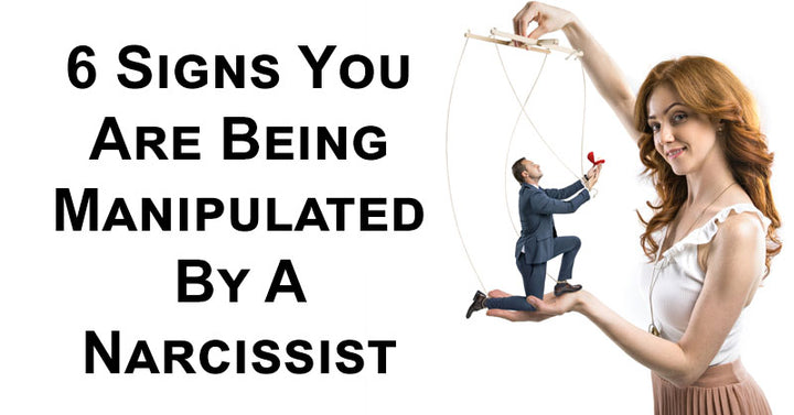 manipulated narcissist FI
