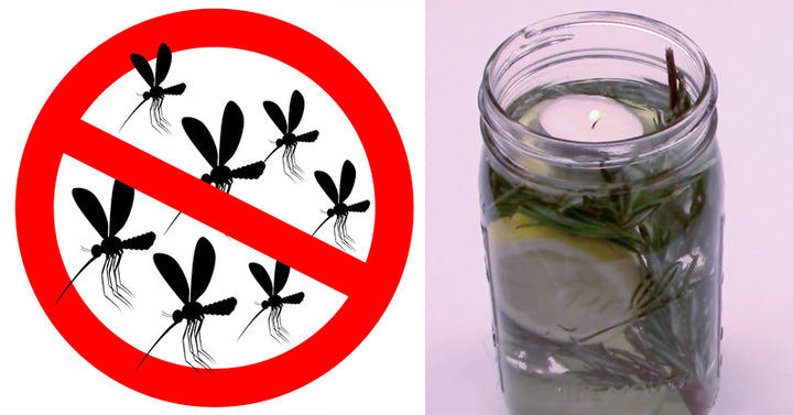 mason jar bug FI