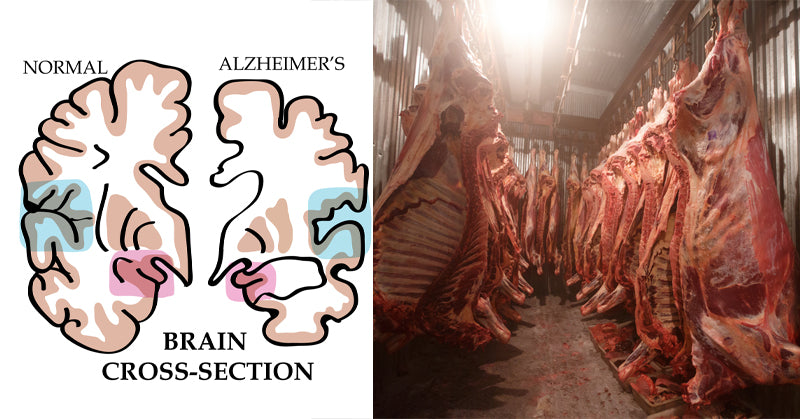 meat alzheimers FI