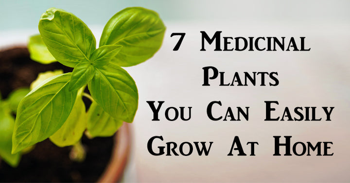 medicinal plants FI