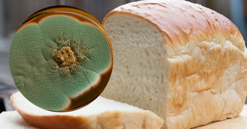 moldy foods FI
